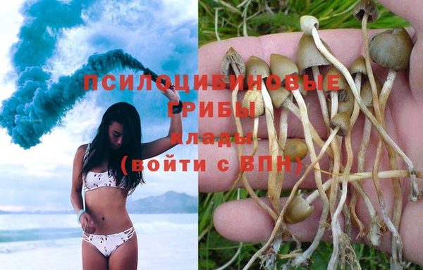 MDMA Аркадак