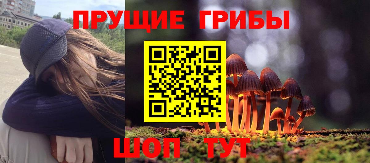 Псилоцибиновые грибы ЛСД  Вход с VPN  Геленджик 