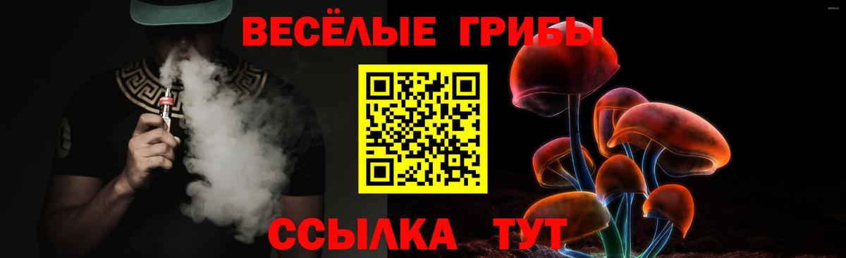 Галлюциногенные грибы Magic Shrooms Геленджик